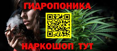 PSILOCYBIN Сланцы