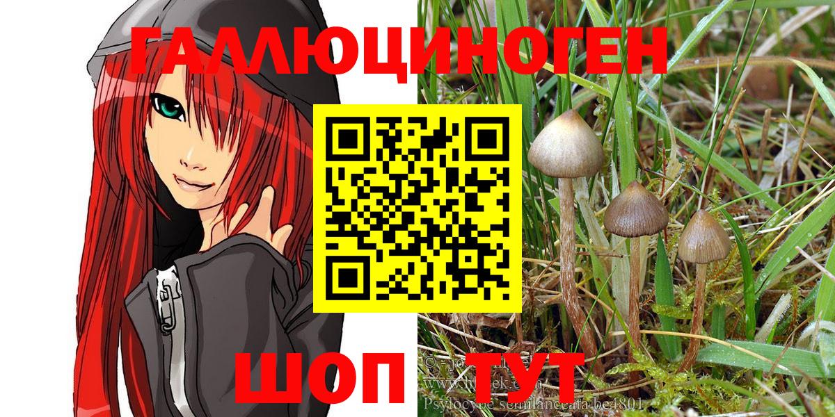 Кубинка  Псилоцибиновые грибы Magic Shrooms  Вход с VPN 